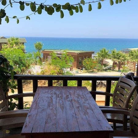 Zambak Holiday Village & Restaurant Superb Seafront Location ! Agios Georgios  外观 照片