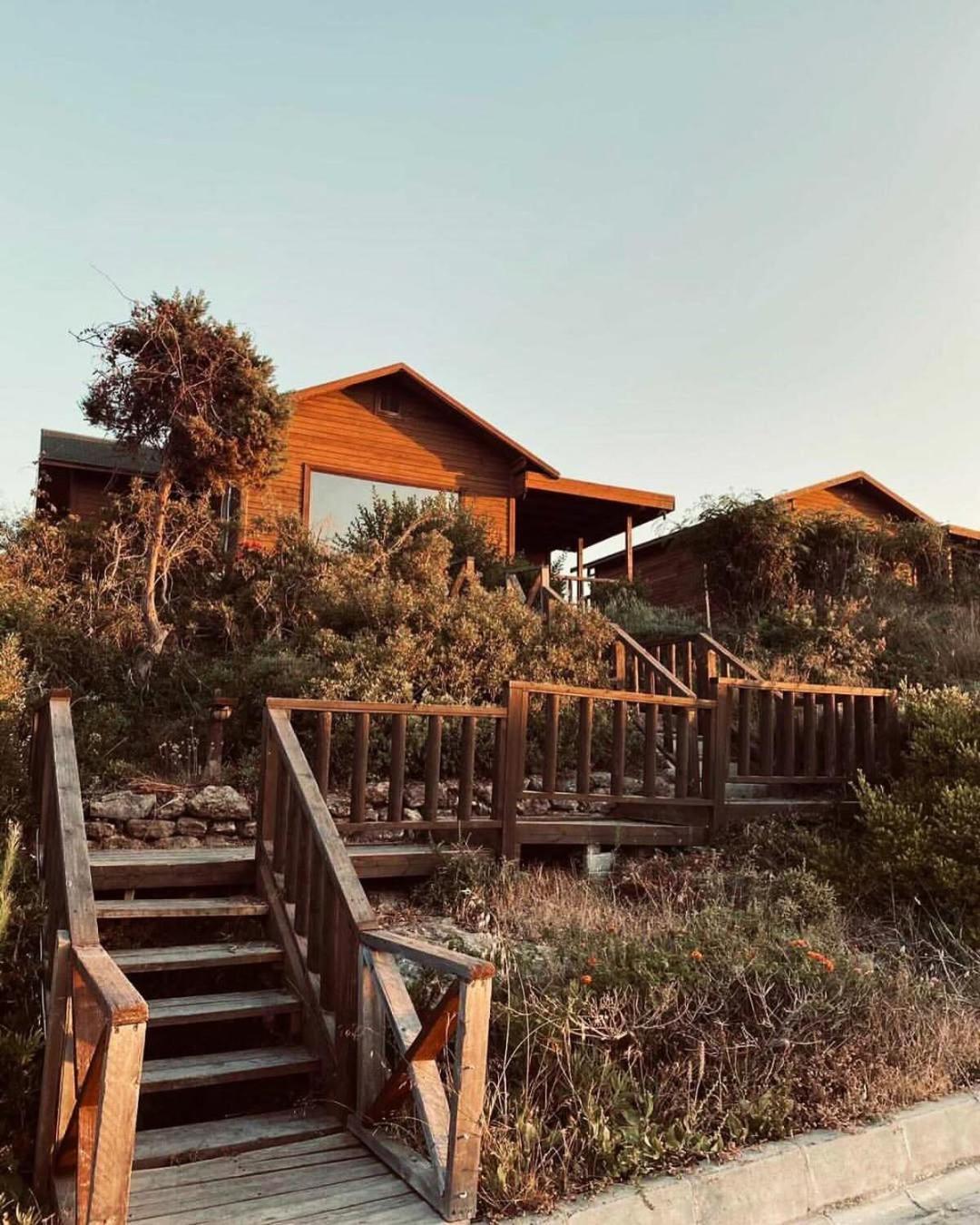 Zambak Holiday Village & Restaurant Superb Seafront Location ! Agios Georgios  外观 照片